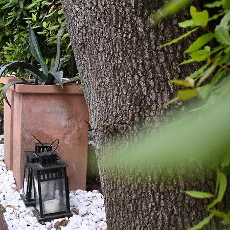 M433 - Marcelli, Spazioso Trilocale Con Giardino Lägenhet